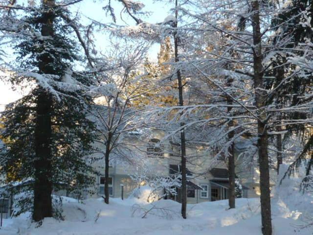 Hakuba Royal Suites מראה חיצוני תמונה