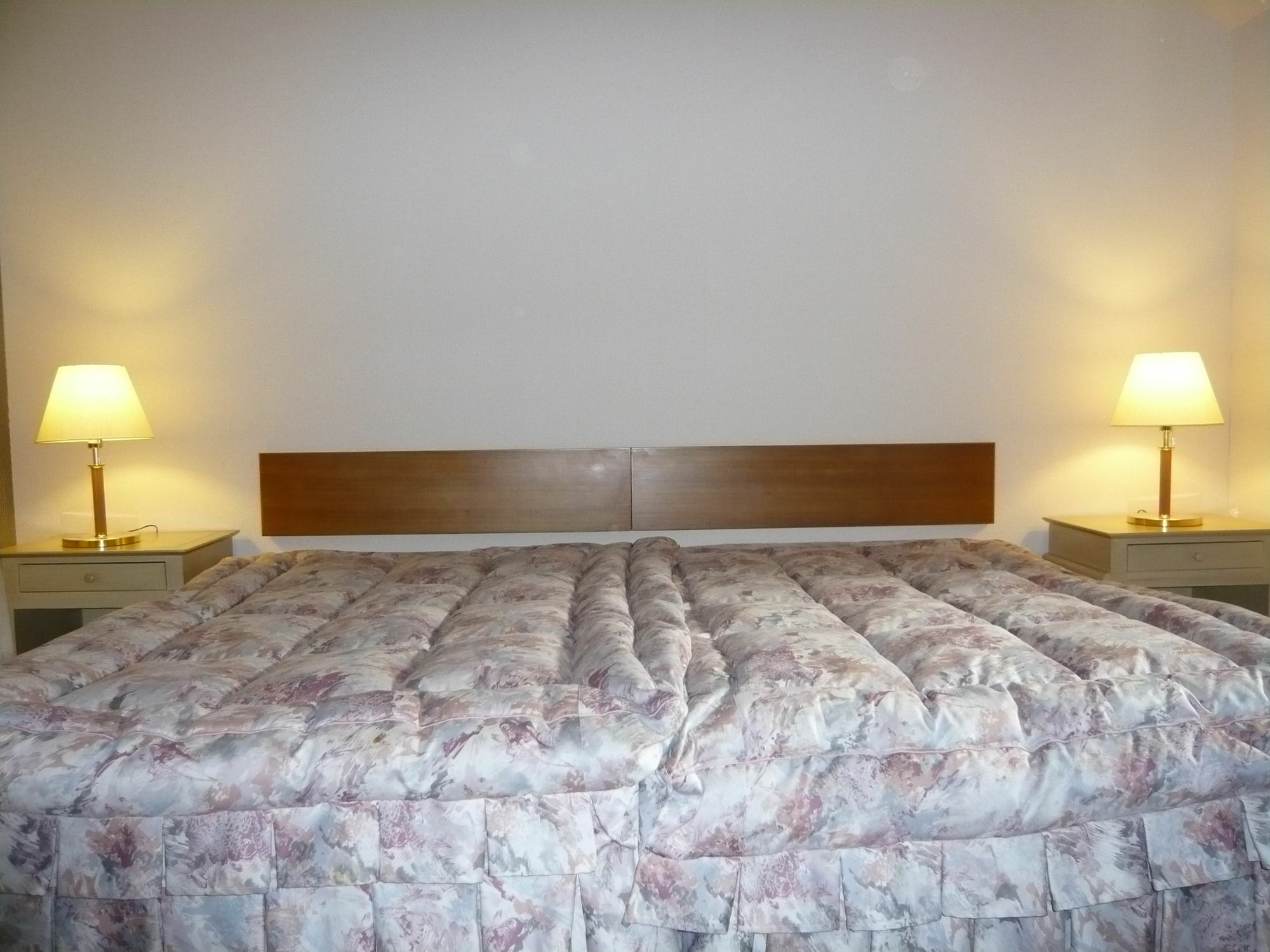 Hakuba Royal Suites מראה חיצוני תמונה